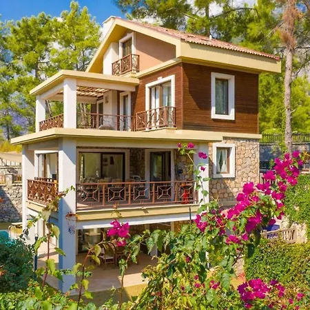 Pine 1 Villa Fethiye